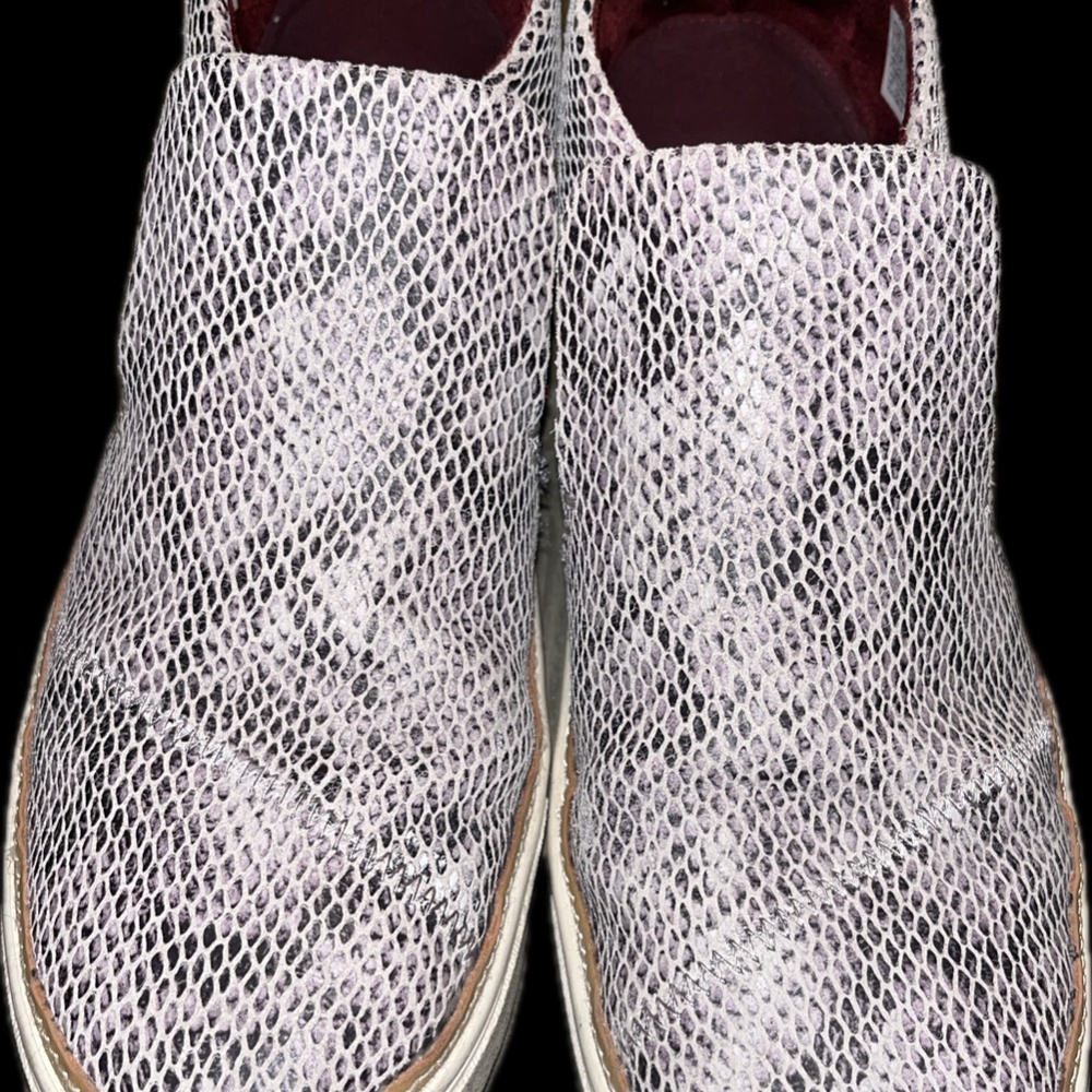 TOMS Paxton Snake Womens Size 7.5 Wide Sneakers Casual Sneaker Shoes